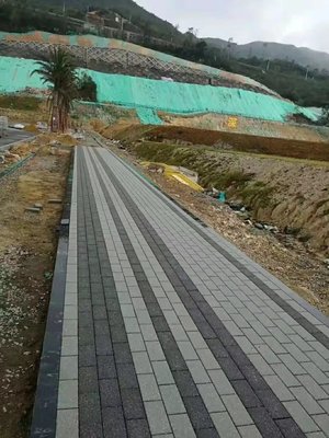 五顏六色仿花崗巖透水磚 重塑市政園林道路的生態(tài)景觀與環(huán)保鋪裝新范式